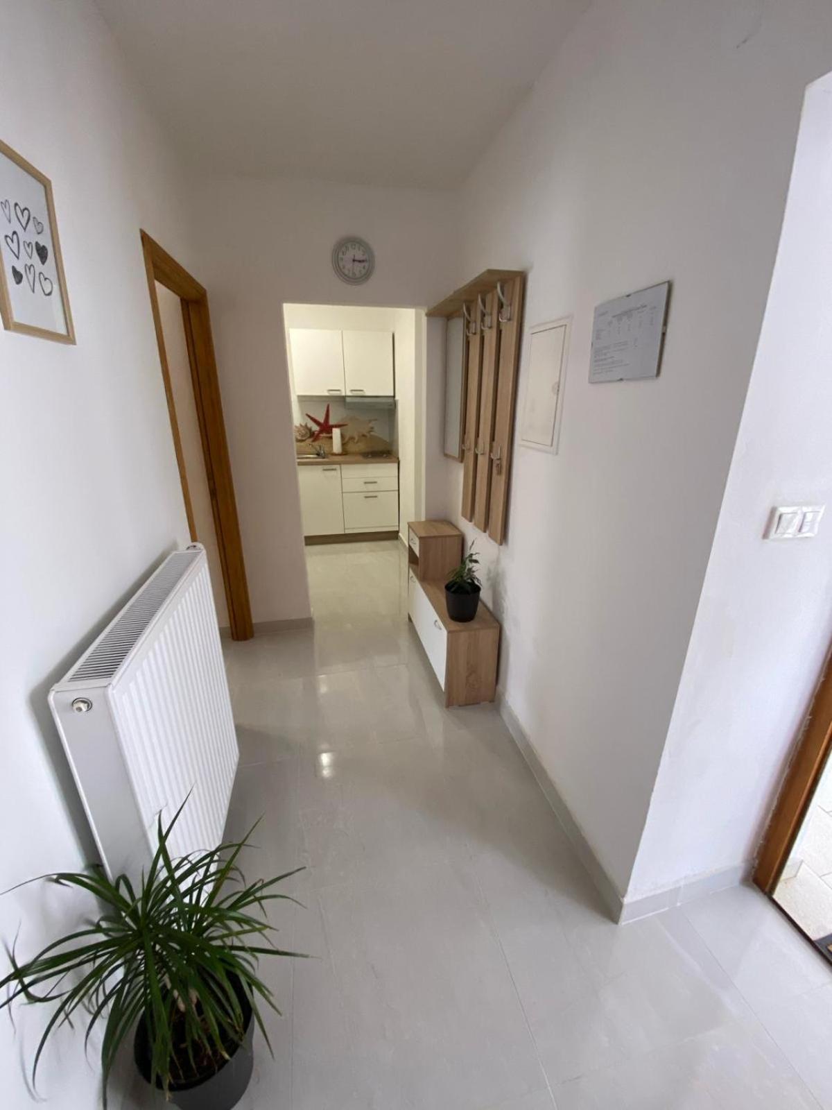 Apartmani Radosav Silo  Ngoại thất bức ảnh